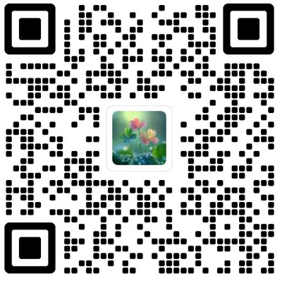 Acta Geochimica杂志模板